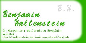 benjamin wallenstein business card